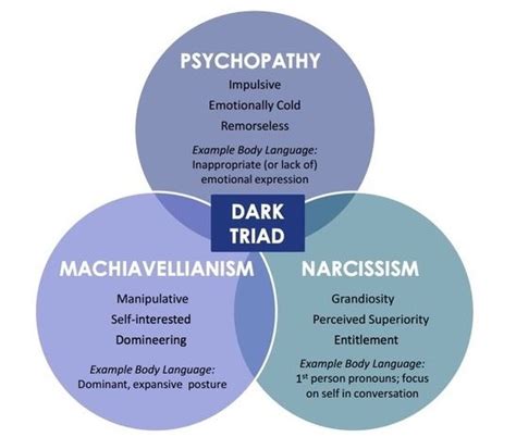the dark triad test